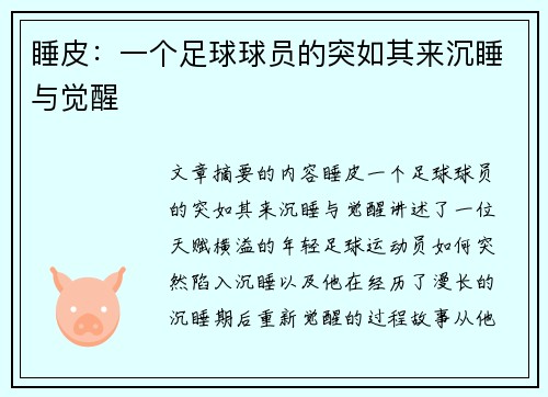 睡皮：一个足球球员的突如其来沉睡与觉醒