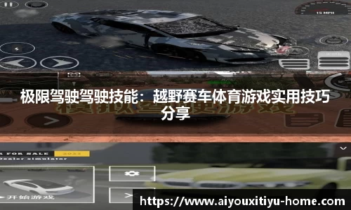 爱游戏体育