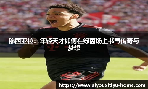 爱游戏体育平台